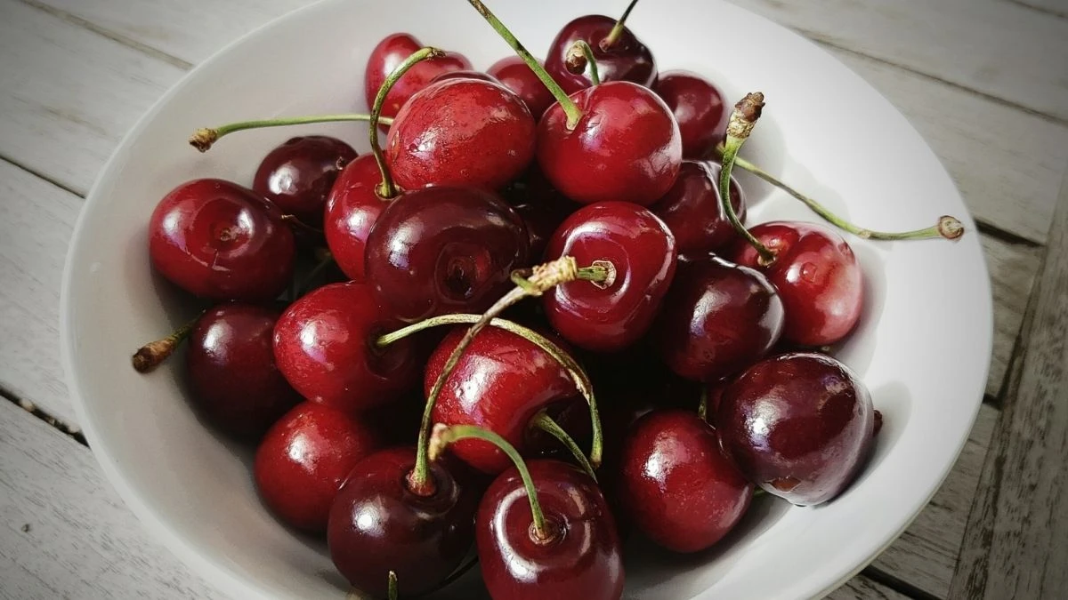 Brain Experts Recommend These Foods to Support Cognitive Health With Age