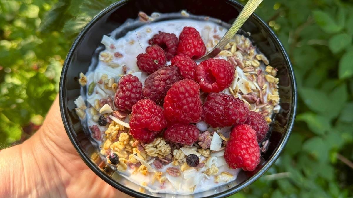 How Fiber Diversity—Not Just Fiber Amount—Shapes Microbiome Health and Inflammatory Markers in Aging