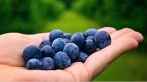 Five Everyday Foods That Quietly Improve Your Overall Health