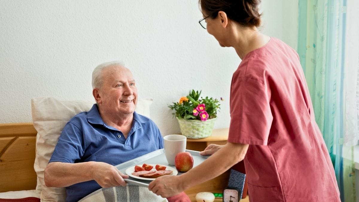 9 Foods That Help Seniors Support Their Immune System Naturally