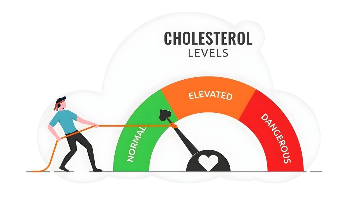 Cholesterol Confusion Solved: What Your Numbers Mean at Every Stage of Life