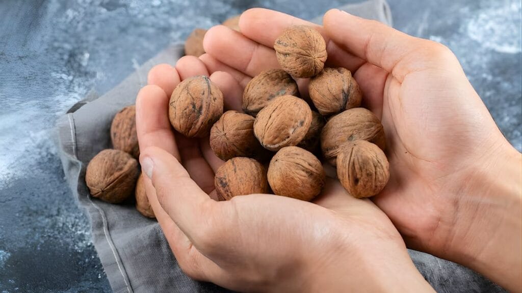 9 Everyday Foods That Help Lower Cholesterol