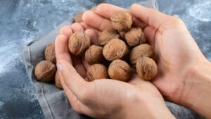 9 Everyday Foods That Help Lower Cholesterol