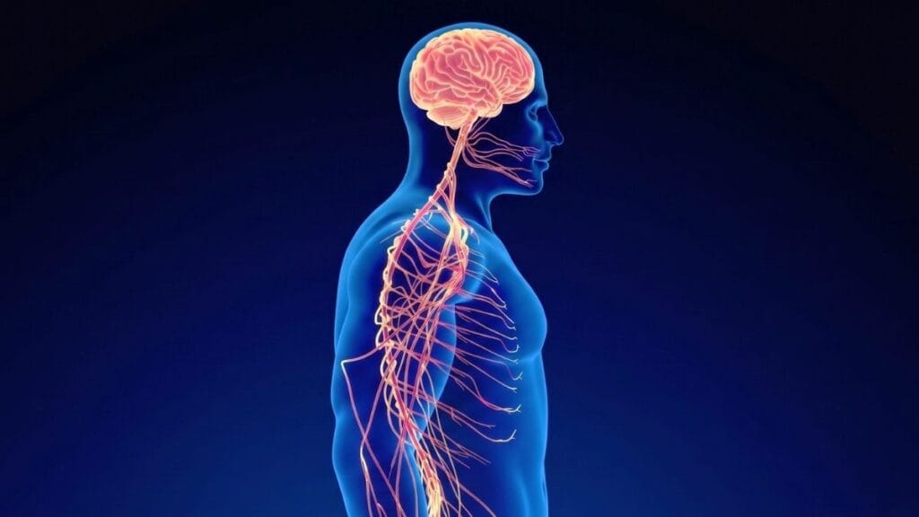 9 Daily Habits That Quietly Rewire Your Nervous System Response