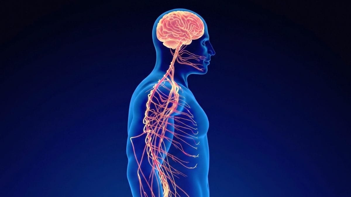 9 Daily Habits That Quietly Rewire Your Nervous System Response