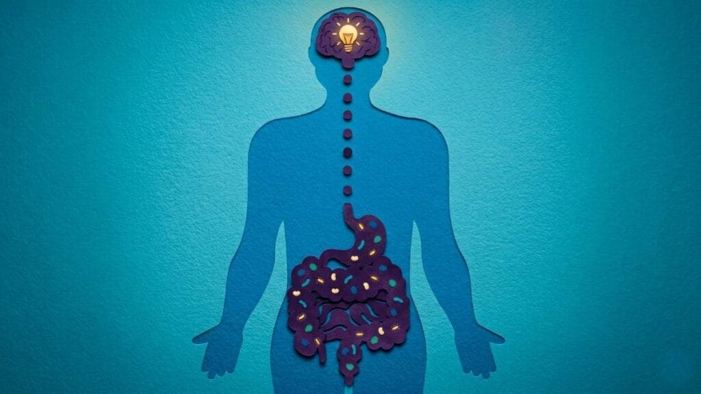 From Anxious Gut to Calm Mind: A Practical Guide to the Gut-Brain Axis