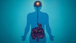 From Anxious Gut to Calm Mind: A Practical Guide to the Gut-Brain Axis