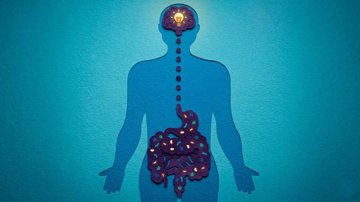 From Anxious Gut to Calm Mind: A Practical Guide to the Gut-Brain Axis
