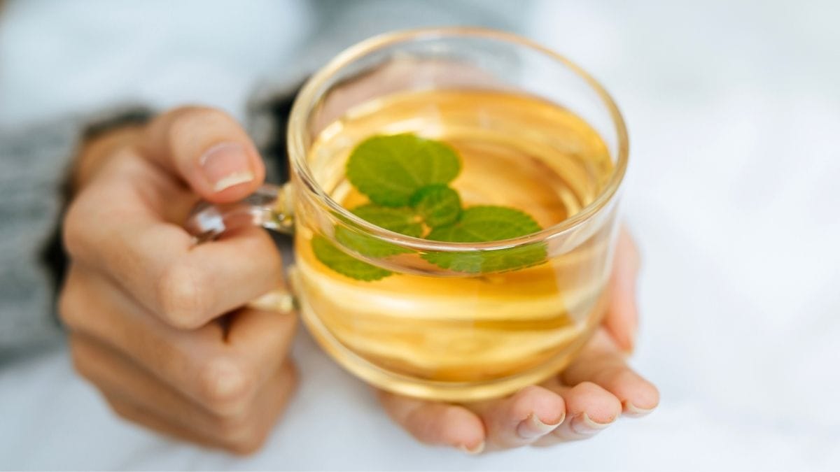 7 Healing Herbal Teas That Calm the Body and Wake Up the Mind