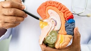 Study Confirms: This Dietary Habit Can Significantly Reduce Alzheimer's Risk