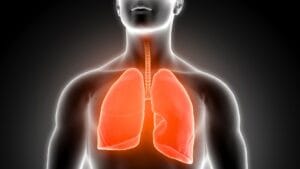 The Lungs Cleanse: 7 Anti-Inflammatory Foods to Help You Breathe Deeper