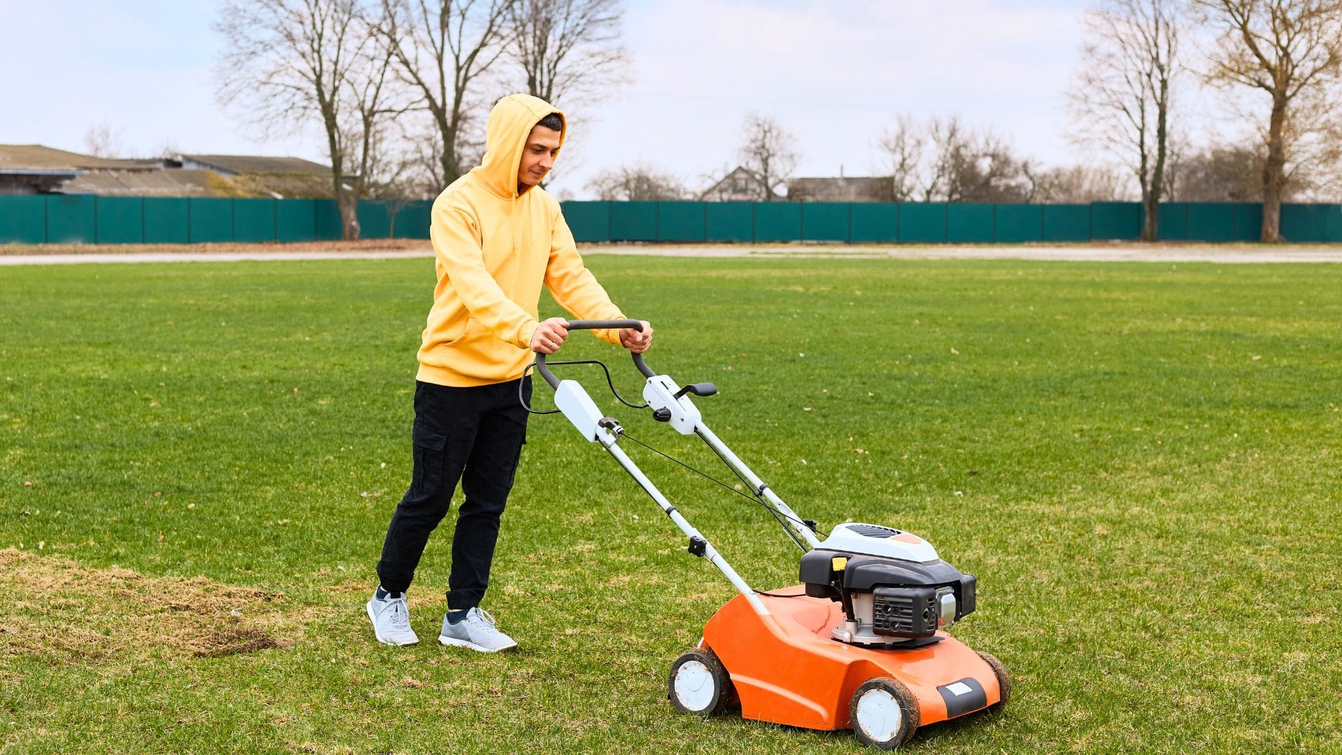 Reseed Your Lawn Like a Pro: Expert Tips on Timing, Overseeding & Turf Health