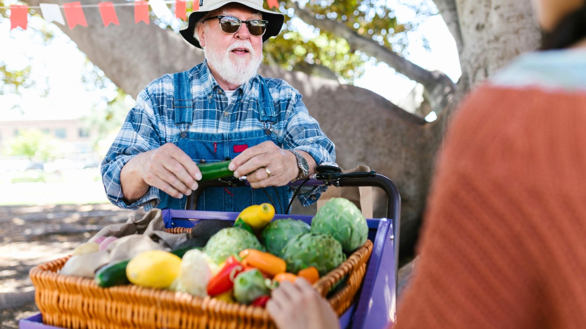 Vegetables: How Many Servings Daily You Need to Slow Aging and Live Healthier