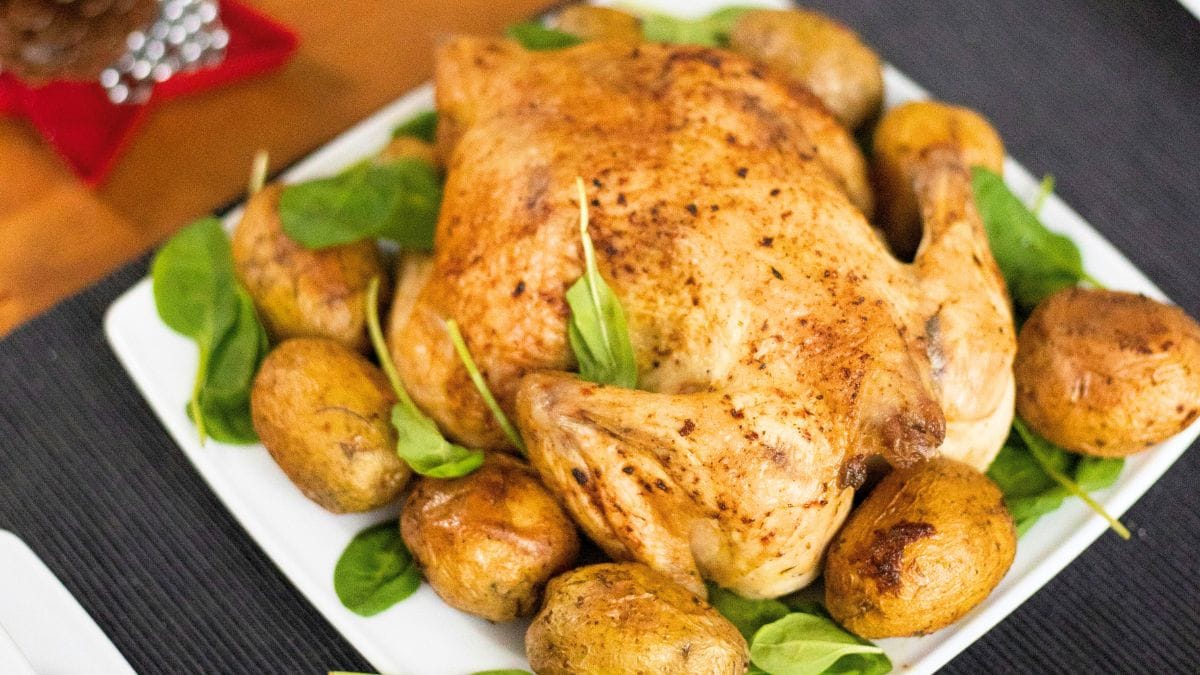 White Chicken for Human Health: 5 Benefits & Nutrition