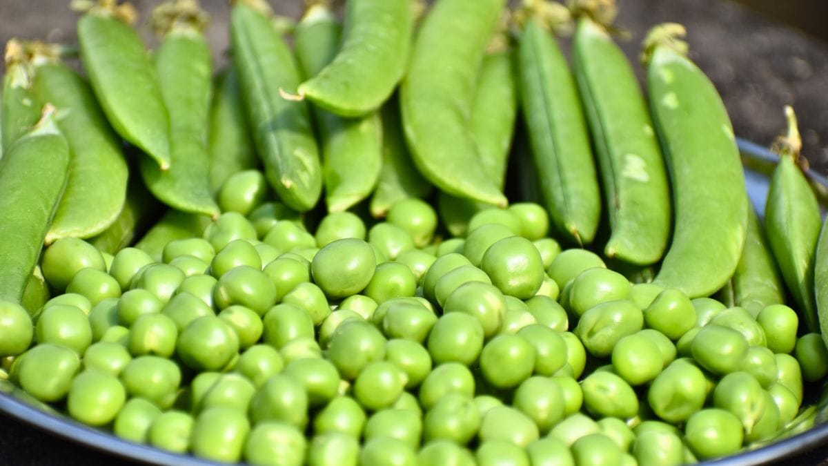 Ditch the Fiber Supplements: This 1-Cup Daily Vegetable Eliminates Constipation and Bloating Within a Week