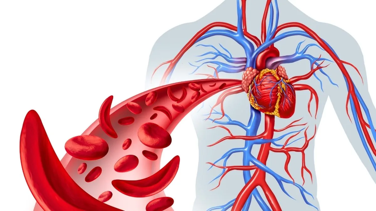 5 Ultimate Iron-Rich Foods to Combat Anemia Fast (Boost Hemoglobin)